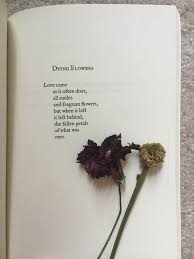 Poem Aesthetic Flowers Dying Flowers Fragrant Flowers Flowers