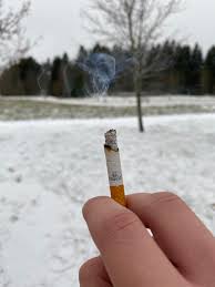 You can buy online camel camel is a popular cigarettes brand which was introduced by r.j. Good Morning Dudes And Dudettes My First Time Buying Camels Soft Pack Cigarettes I M Really Digging These Cigarettes