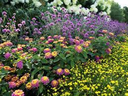 Ferns n petals provides affordable flower delivery service in canada. Top Garden Trends For 2021 Garden Design