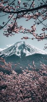 Mt Fuji With Sakura In Japan Iphone Wallpaper Mountains Japanese Wallpaper Iphone Cherry Blossom Wallpaper
