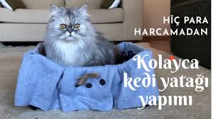 kedim neden yataginda yatmiyor nasil alistirabilirim youtube