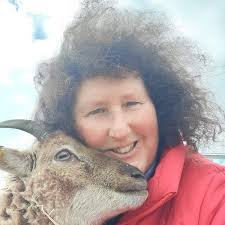 Let me introduce myself ....