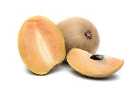 They are borne on slender stalks at the leaf bases. Caramel Sapodilla My Exotic Fruit