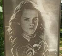 hermaione granger" 3D Models to Print