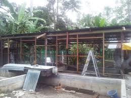 Latihan soal pilihan ganda bab budidaya unggas petelur. Part 1 Projek Pembinaan Reban Induk Ayam Fasa Kedua Pemasangan Kerangka Kayu Reban Ayam Eko Farm Malaysia