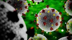 Australia government department of health: Corona Faq Fragen Und Antworten Zum Virus Mdr De
