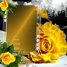 Yellow Roses Frame Imikimi Com Yellow Roses Romantic Picture Frames Rose Frame
