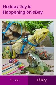 Reptiles Pet Supplies Ebay Bearded Dragon Harness Lizard Bearded Dragon