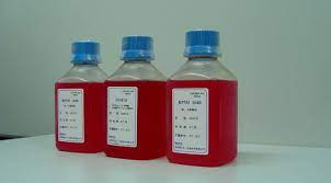 Check spelling or type a new query. Serum Free And Animal Source Free Cell Culture Media Skywing Specification Price Image Bio Equip In China