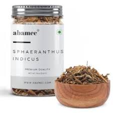 Image result for Sphaeranthus gomphrenoides