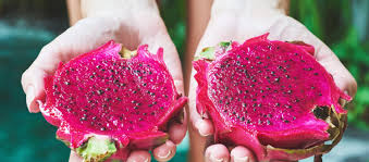Maybe you would like to learn more about one of these? Liza Meine Lieblingsfrucht Die Drachenfrucht Liza