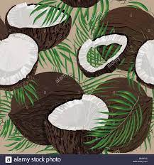 Coconut Whole And Pieces With Palm Leaves Isolated On White Background Colorful Botanical Vector I Coconut Oil For Cats Eating Coconut Oil Virgin Coconut Oil
