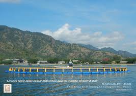 Watch beyond the boundary online english dubbed full episodes for free. Kja Bulat Bundar 13 Aquatec Indonesia