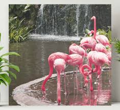 Buy it now +$9.04 shipping. Nice Landscape Pink Flamingos Kitchen Canvas Tenstickers