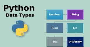 Python Basics: Understanding Variables, Data Types, and Operators