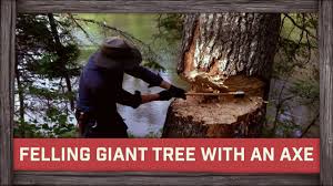 Felling Giant Tree With An Axe Youtube