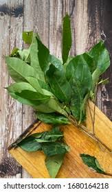 We did not find results for: Daun Salam Images Stock Photos Vectors Shutterstock