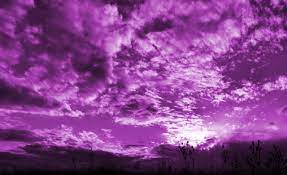 Sfinx intr un cer violet. Zbor Pe Un Cer Violet Milu Oltean