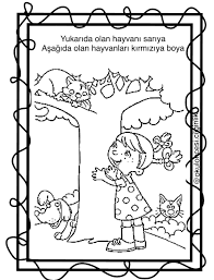 Evrim Oksuz Adli Kullanicinin Kavramlar Panosundaki Pin Okuma Okul Oncesi Aktiviteler Ve Okul Oncesi