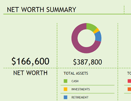 Net Worth Summary