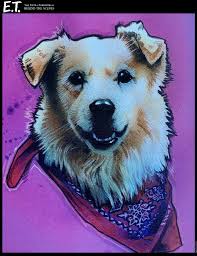 I did some beautiful drawings of KREW 🩷💛💙💜💚