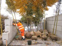 Damit diese arbeit nicht zur last fällt, sondern möglichst leicht von der hand geht, ist man auf den einsatz qualitativ hochwertiger werkzeuge angewiesen. Ausbildung Zum Zur Gartner In Fachrichtung Garten Und Landschaftsbau Stadtportal Schwabach