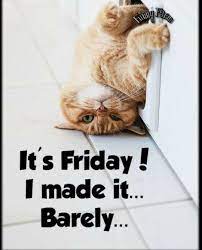 Good Friday Morning We Made It Funny Good Morning Quotes Its Friday Quotes Friday Humor