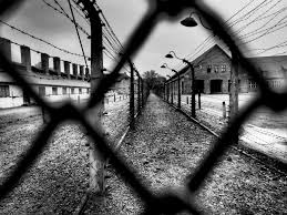 72° anniversario della liberazione del campo di concentramento di auschwitz. 27 Gennaio Giornata Della Memoria Ricordare Le Vittime E Combattere La Discriminazione Dell Uomo Contro Altri Uomini Comune Di Cormano