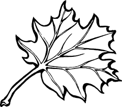 Leaf coloring pages leaf 1. Leaf Coloring Page 60 Autumn Images For Free Printing