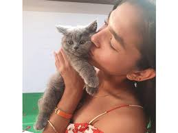 Derek Ramsay dismisses bashers over malicious comments