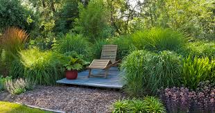 Pflegeleichte Garten Die 10 Besten Tipps Mein Schoner Garten
