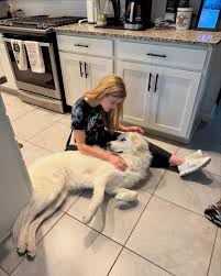 🐶🌟 Foster Friday feature: Beau #A1238750 🌟🐶 Notes from Beau's foster:  "Beau was a stray I spent time with while trying to catch. He quickly got  adopted earlier this year, but recently