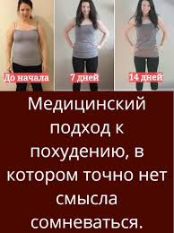 6 типов ожирения и как справиться с каждым из них Sovety V 2020 G Pohudenie Zdorove Dieta Dlya Bystrogo Metabolizma