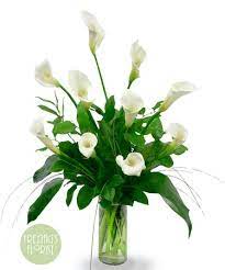 There are few flowers as dramatic as the calla lily. Simply Calla Lilies Elegant Flowers Delivered Austin Tx