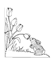 Use these images to quickly print coloring pages. Easter Coloring Pages