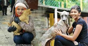 Other laws, policies, and guidelines may include additional species coverage or specifications for animal care and. These 5 Laws From Malaysia S New Animal Welfare Act Asklegal My