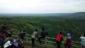 Hal yang lainnya yang diperlukan bila ke hutan pinus imogiri adalah bawalah bekal makanan ataupun minuman dari rumah. Wisata Imogiri Jogja