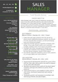 Look at those percentages in bold (although it. Sales Manager Resume Sample Writing Tips Resume Genius