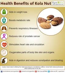 Health Benefits Of Kola Nut Organic Facts Health Health Benefits Nut Benefits