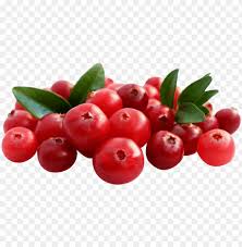 1 2 Kg Chopped Cranberries Cranberry Png Image With Transparent Background Toppng Arecaceae plant leaf palm branch, potted green plants, green leafed plant and white plant pot, plant stem, green apple, plants png. 1 2 kg chopped cranberries cranberry