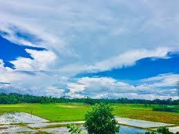 Bangladesh Google Search