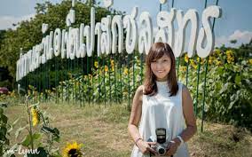Tanpa dirancang menjadi objek wisata, lama kelamaan. Mengunjungi Sunflower Field Di Lopburi Thailand The Story Of Lynn