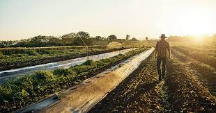 How To Become A Farmer And Start A Career In Agriculture? | Open Colleges