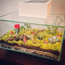 Create A Hip Looking Terrarium From An Old Fish Tank Grab Some Soil Succulents Moss And Fun Decorations To Terrarium Table Fish Tank Terrarium Cactus Flower