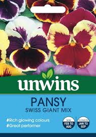 Pansy Swiss Giant Mixture Flower Seeds Unwins Jackson S Nurseries