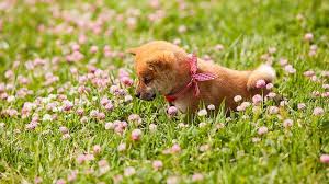 pin on le cute