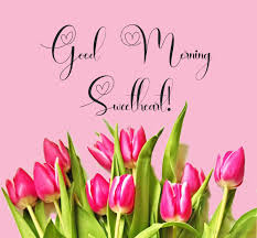 I am happy you see you every day, knowing my future. Good Morning Messages For Girlfriend Morning Quotes