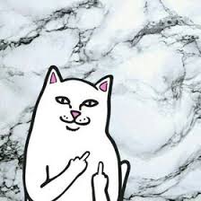 Salah satu unggahan di facebook menunjukkan kenakalan aksi kucing oranye yang belakangan diberi nama kucing oren. 320 Ide Kenangan Mantan Di 2021 Kenangan Tujuan Dalam Hubungan Surat Pacar