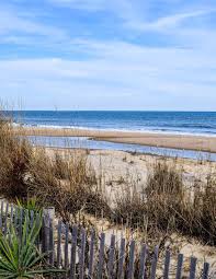 Summer/Fall 2024 by Chesapeake Region Chapter of CAI