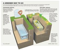 Explanatory Diagram Highlighting The Differences Between Green Burial And A Traditional Burial Green Funeral Funeral Planning Funeral